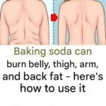 Eye Test!! Count The Tomatoes — Is It 12 or 13 ?