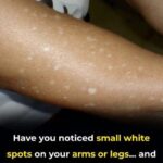 Rosemary: A Powerful Medicinal Herb to Relieve Pain and Support Natural Health