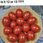 Rosemary: A Powerful Medicinal Herb to Relieve Pain and Support Natural Health