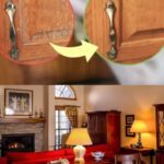 Why Do Oven Doors Break and How Can You Prevent It?
