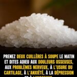 Understanding the Chalaza: Why That White String in Your Egg Is Actually a Sign of Freshness